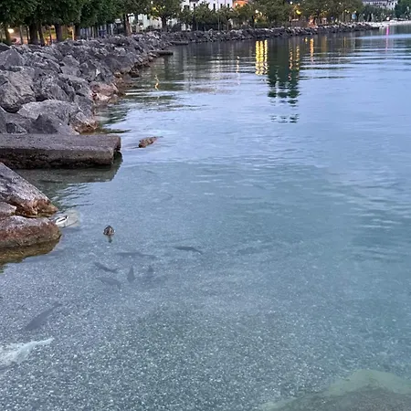Rachele Desenzano del Garda